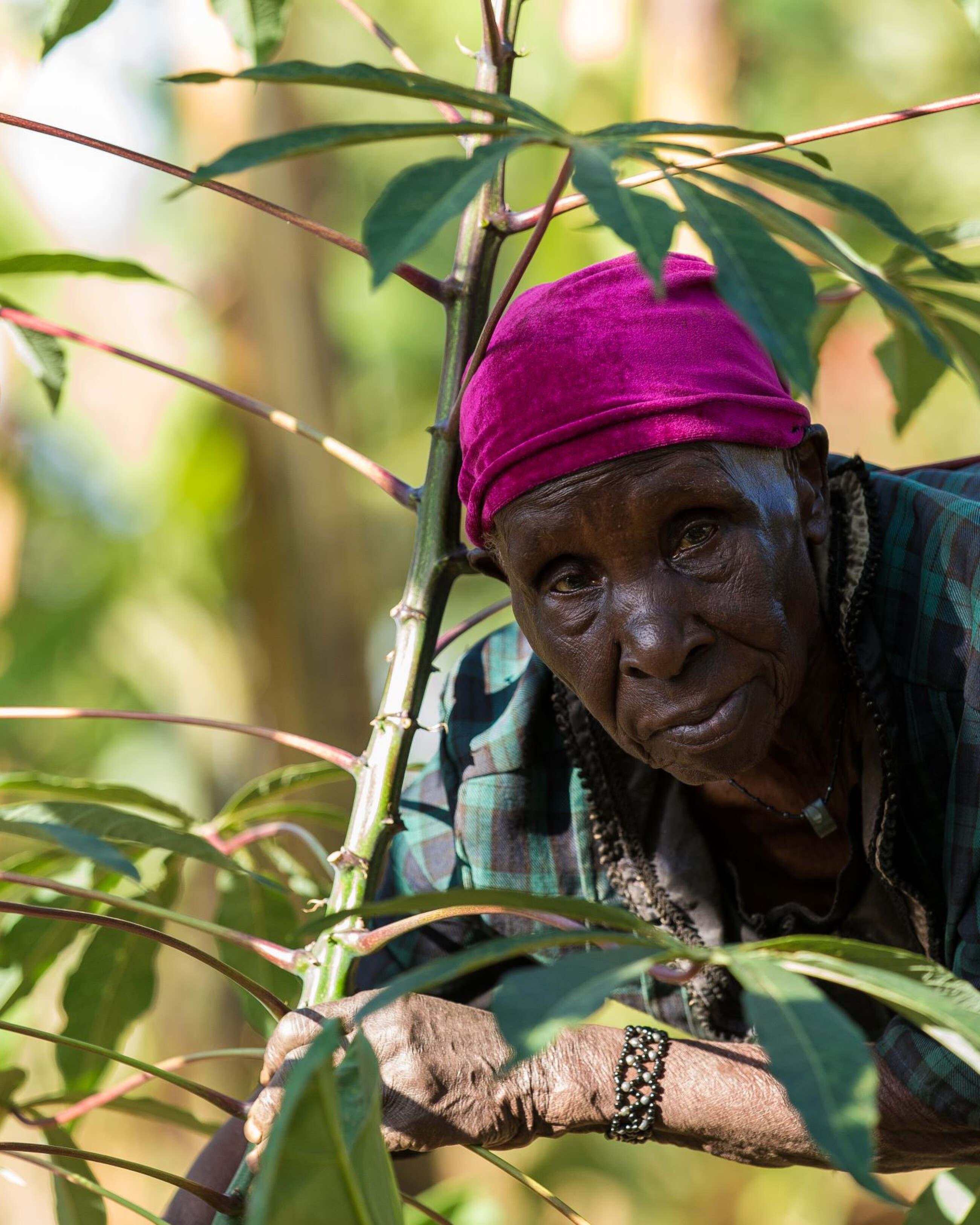 Person lehnt sich auf einen Baum und schaut in die Kamera