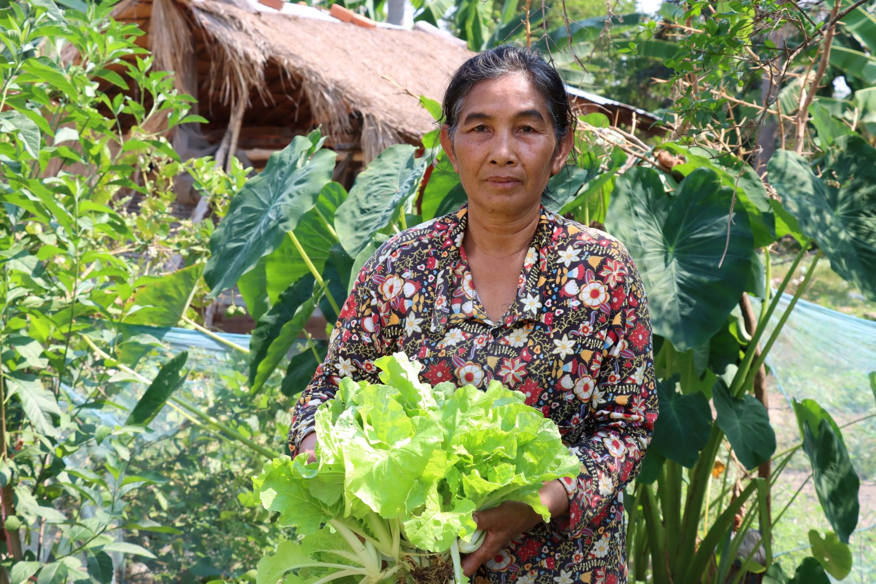 khm_frau-mit-salat_um-sok_62j_hc_hac_2022.JPG