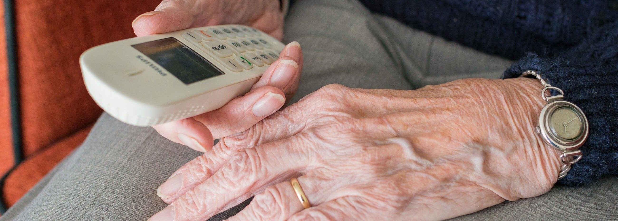 Bild von Sabine van Erp auf Pixabay.jpg