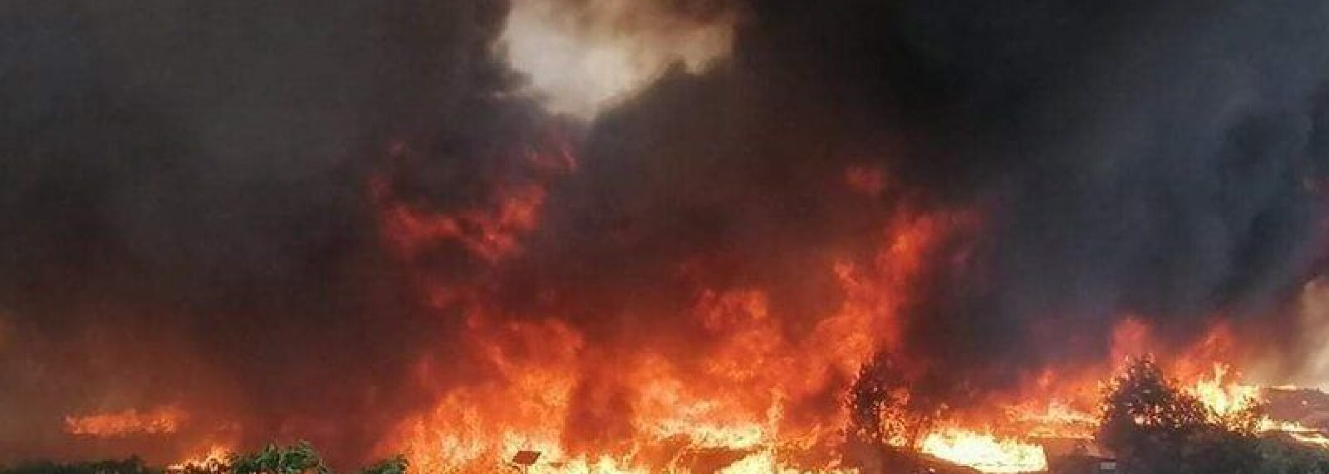 fire pic 8W.jpg